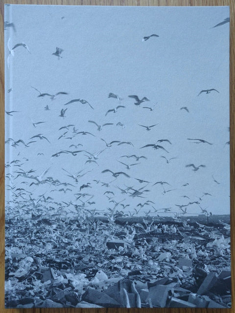 The photography book cover of Benny Profane by Ken Grant. Hardback with image of hundreds of birds flying.