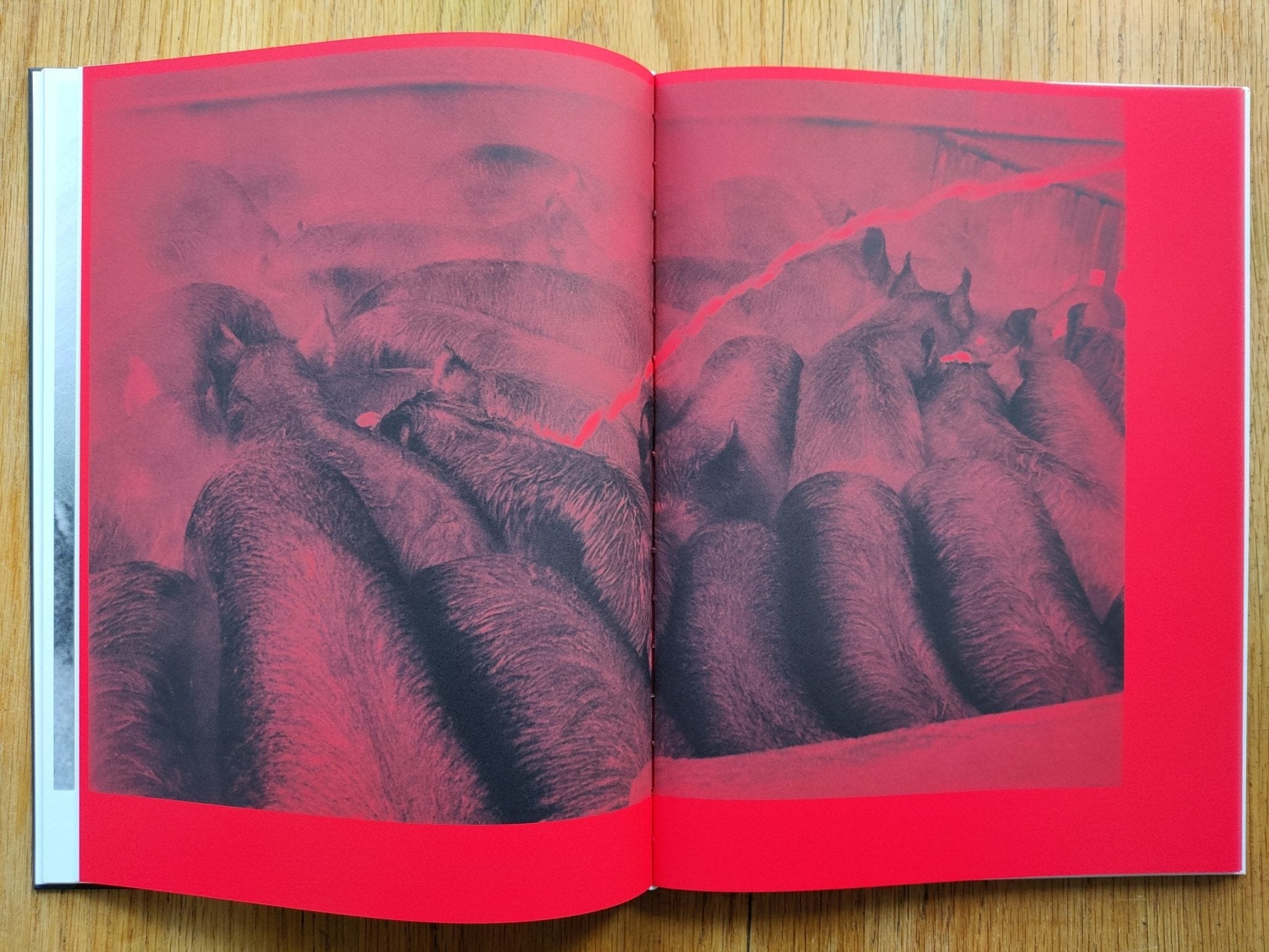 Buy Kill The Pig by Masahisa Fukase Online – Setanta Books