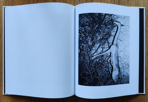 Landfall - Setanta Books