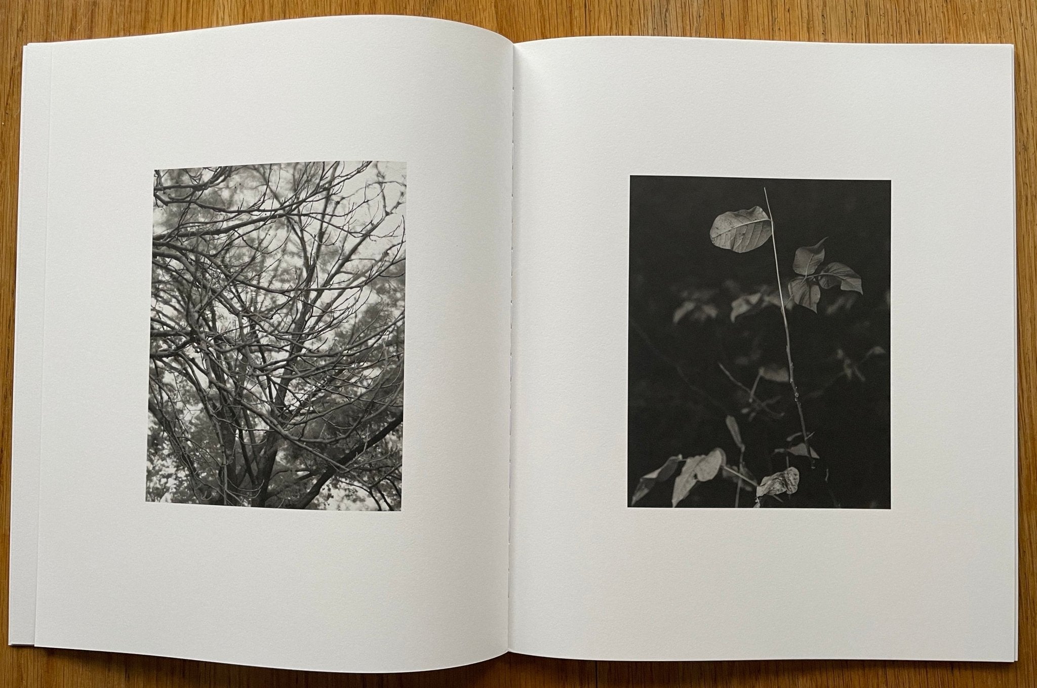 Languor by Donovan Smallwood – Setanta Books