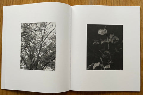 Languor - Setanta Books