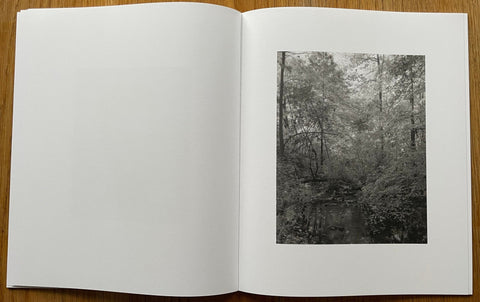 Languor - Setanta Books