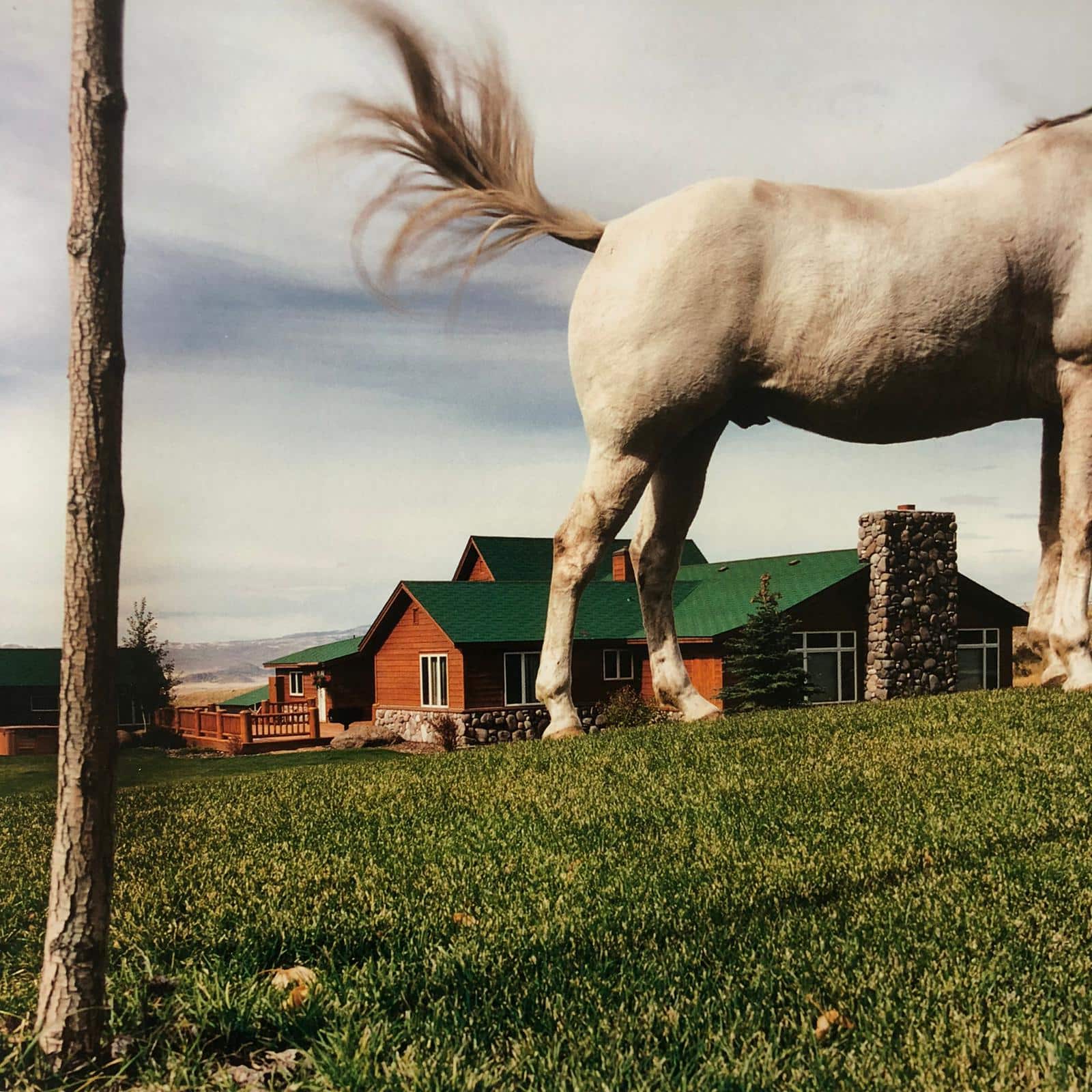 Buy Lars Tunbjork: Retrospective Online – Setanta Books
