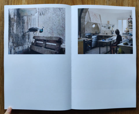 Les rochers fauves - Setanta Books