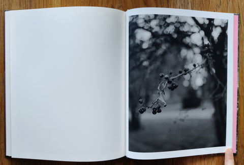 Let Me Sow Love - Setanta Books