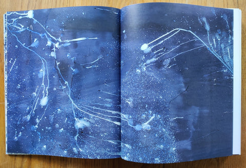 Littoral Drift + Ecotone - Setanta Books