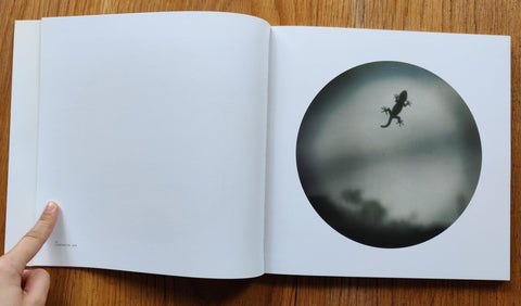 Looking On - Setanta Books