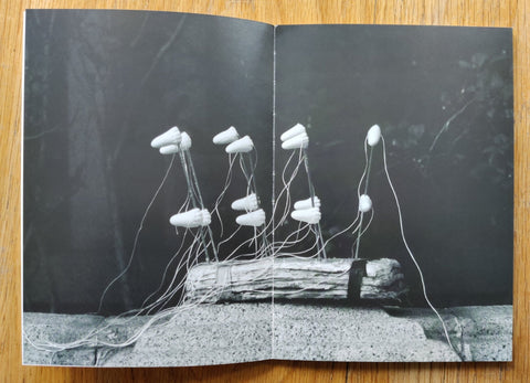 Mandala - Setanta Books