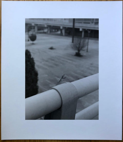The print and photography book cover of Greater Atlanta by Mark Steinmetz. Clamshell box with hardback book in white. Signed.