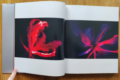 Masters of the Light - Setanta Books