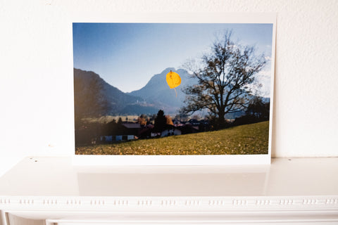 The photography print of Leaf München by Matt Stuart. Signed on verso.
