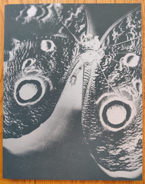 The photography book cover of The Missing Eye by Mattia Parodi and Piergiorgio Sorgetti. In softcover green with a butterfly.