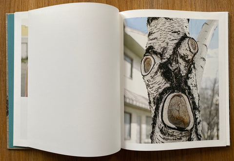 Meadowlark - Setanta Books