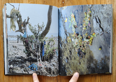 Memoire Temporelle - Setanta Books