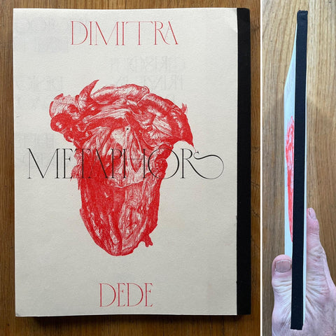 Metaphors - Setanta Books