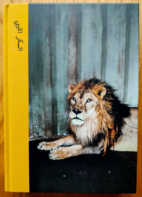 The photography book cover of Libyan Sugar by Michael Christopher Brown. Hardback with photo of a lion on the cover and yellow binding.