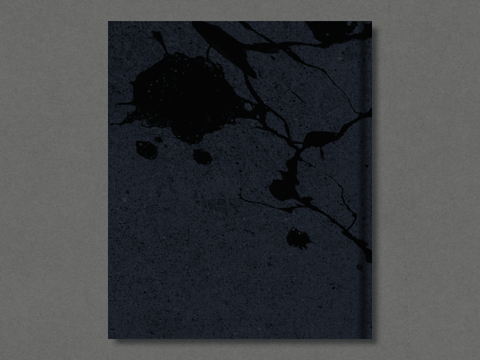Modern Paradox - Setanta Books