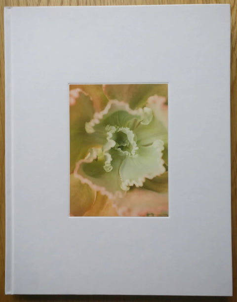 The photography book cover of Bushes & Succulents by Mona Kuhn. Hardback image of succulent with white background.