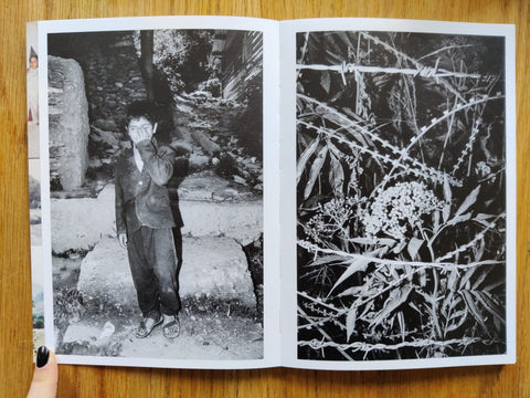 Monsoons Never Cross The Mountains - Setanta Books