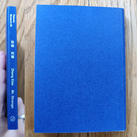 Mr. Strange - Setanta Books