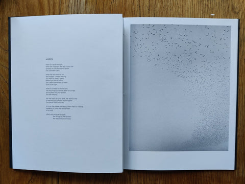Murmurations - Special Edition - Setanta Books