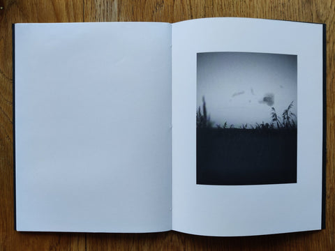 Murmurations - Special Edition - Setanta Books