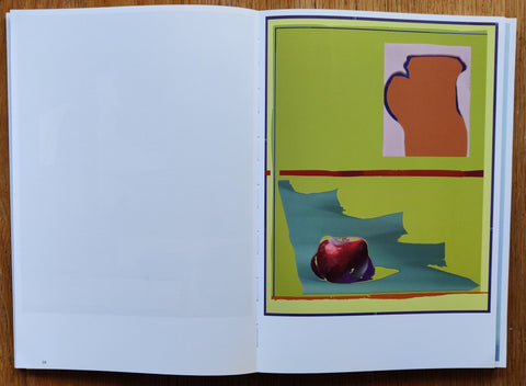 New Canvas - Setanta Books