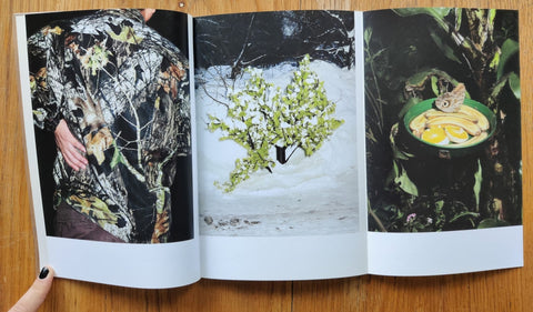 New Colour Guide - Setanta Books