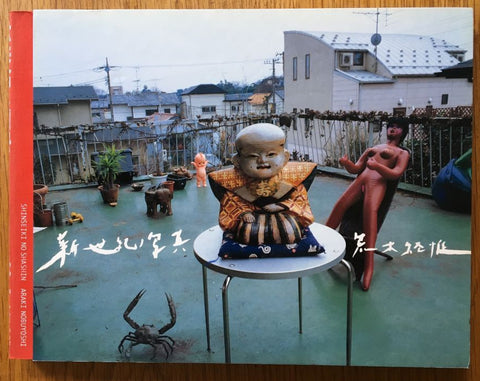 The photography book cover of Shinseiki No Shashin by Nobuyoshi Araki. Hardback photo of rooftop balcony on cover.