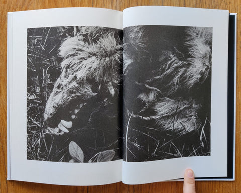 North Point - Setanta Books