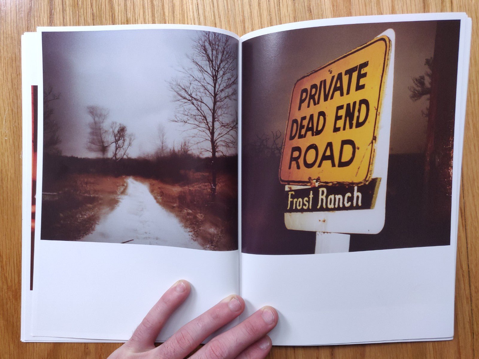 Nymph Daughters by Todd Hido | Photography | Photobook | Setanta Books
