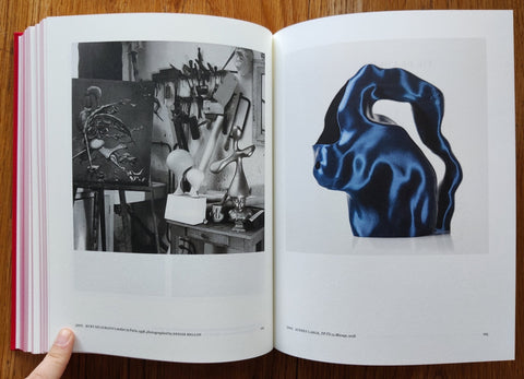 Objects of Desire: Surrealism & Design 1924-Today - Setanta Books