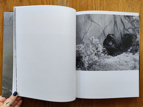 Odds and Ends - Setanta Books