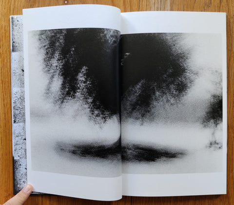 One Tree - Setanta Books