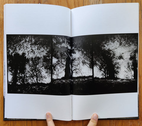 One Tree - Setanta Books