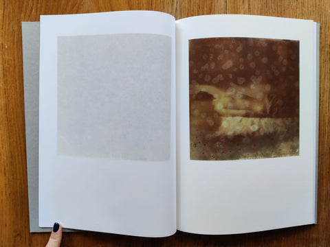 Other Voices - Setanta Books