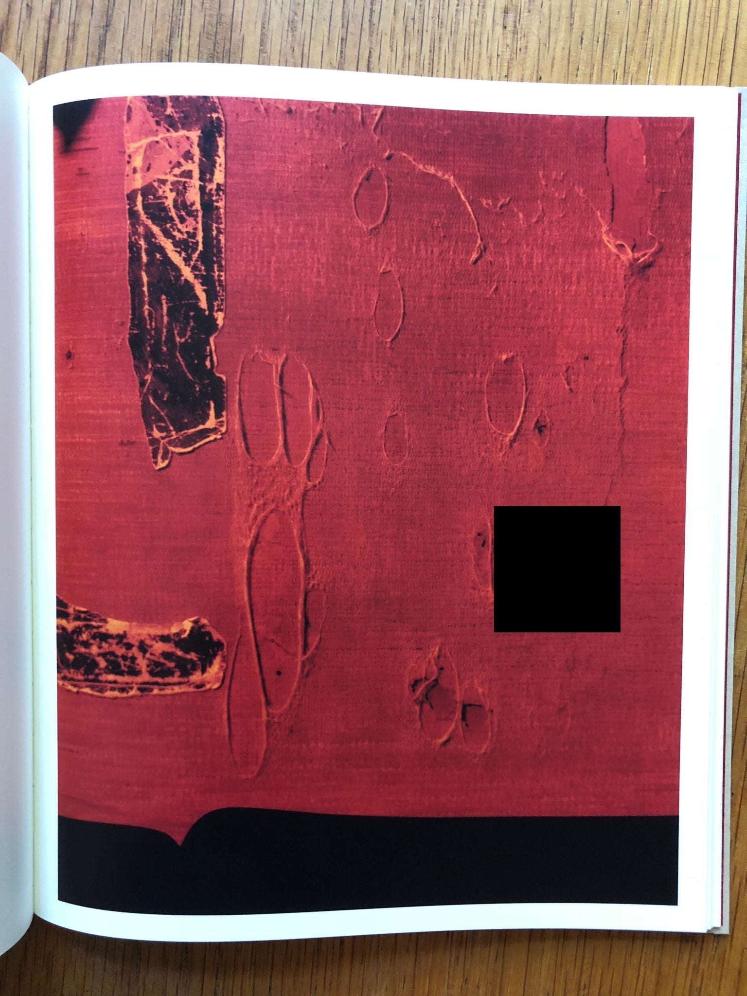 Paintings by Harley Weir | Photography | Setanta Books