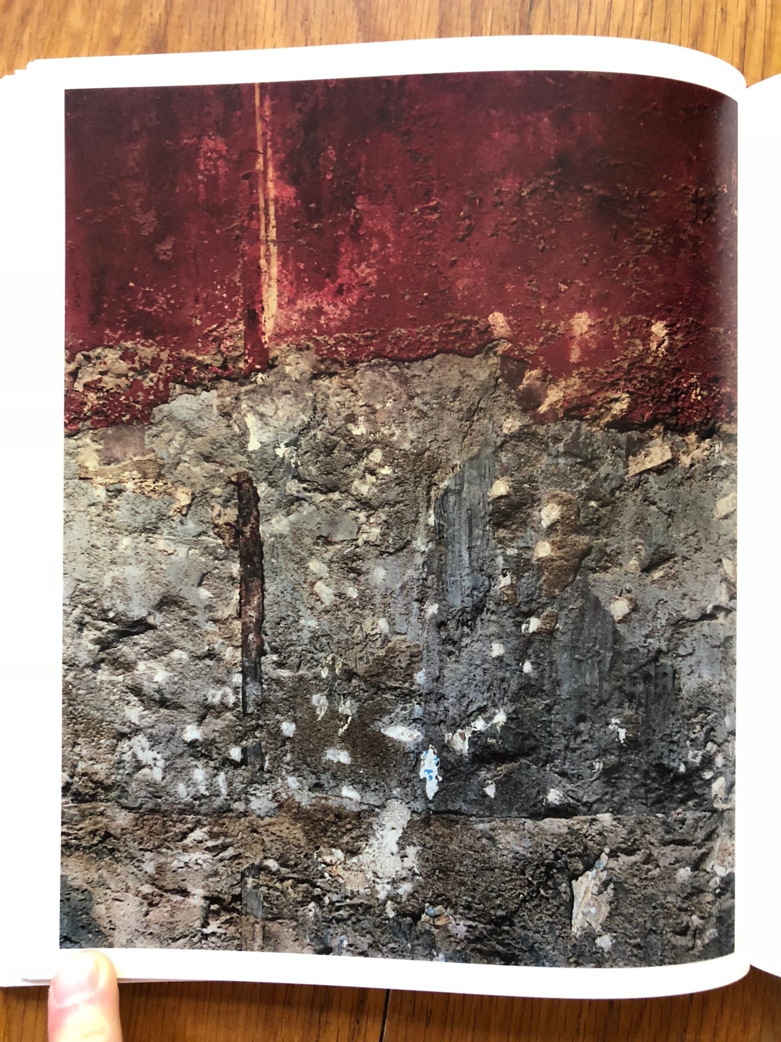 Paintings by Harley Weir | Photography | Setanta Books