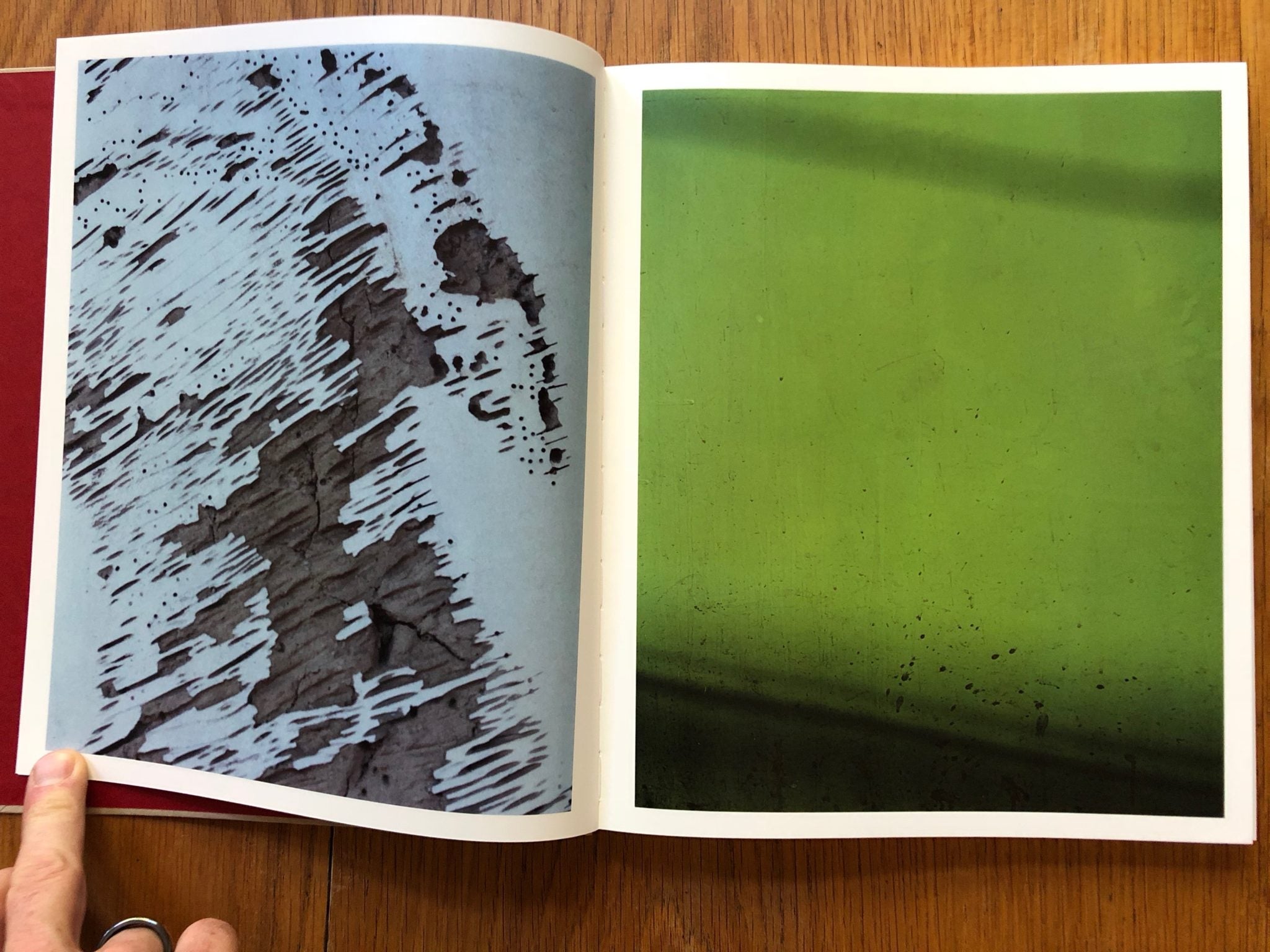 Paintings by Harley Weir | Photography | Setanta Books