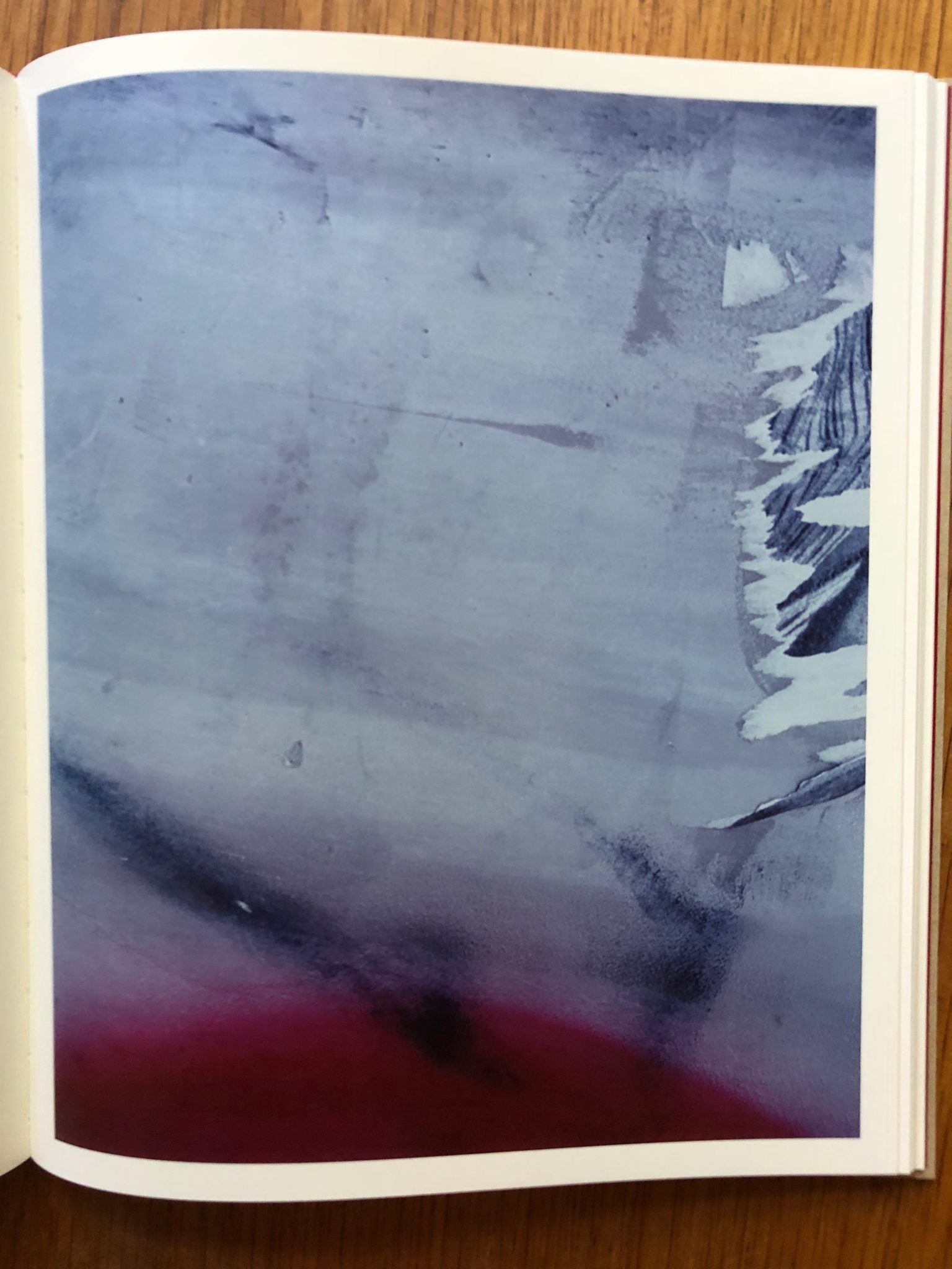 「絶版」PAINTINGS by Harley Weir Paintings by Harley Weir | Photography | Setanta Books