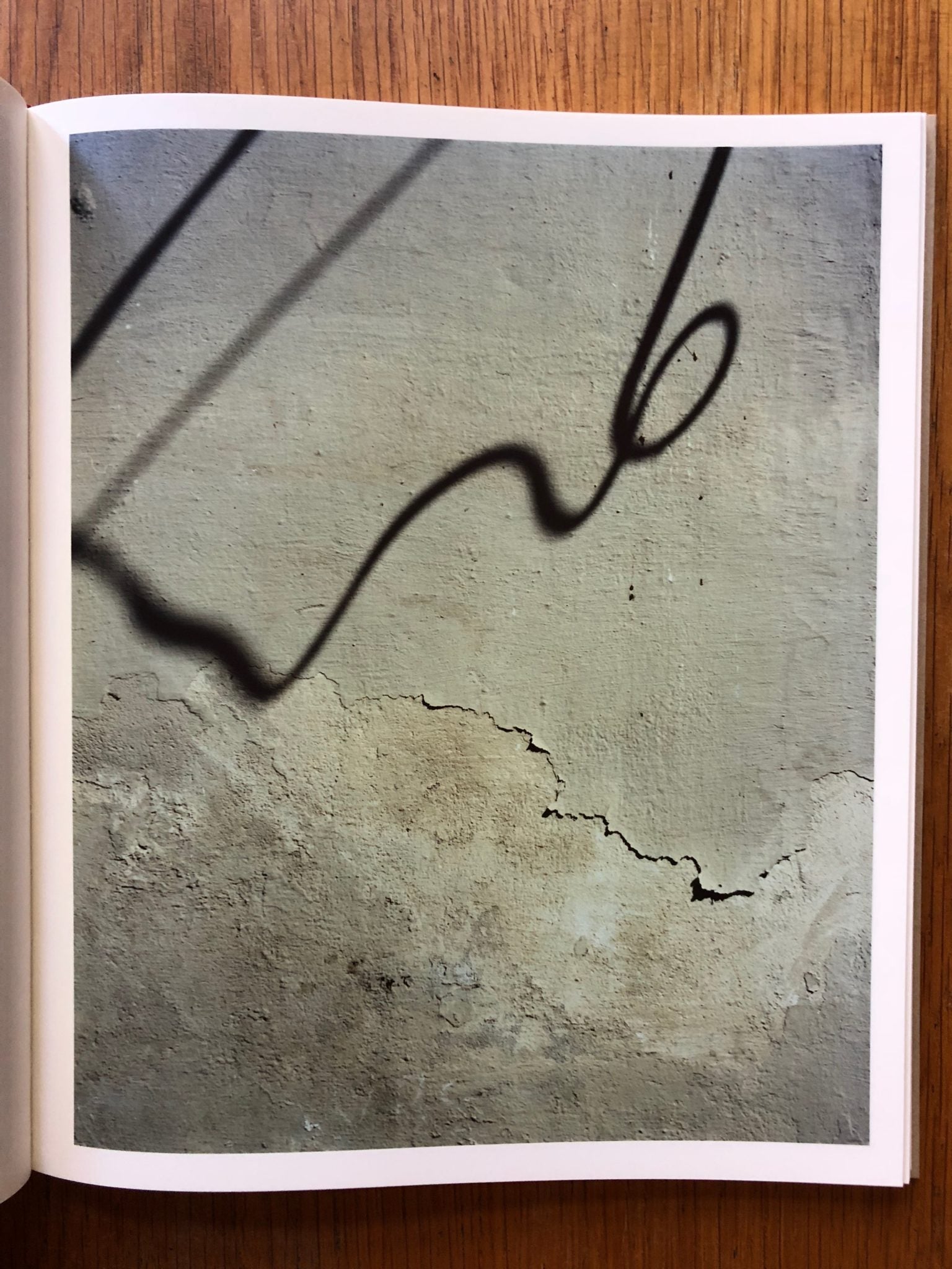 Paintings by Harley Weir | Photography | Setanta Books
