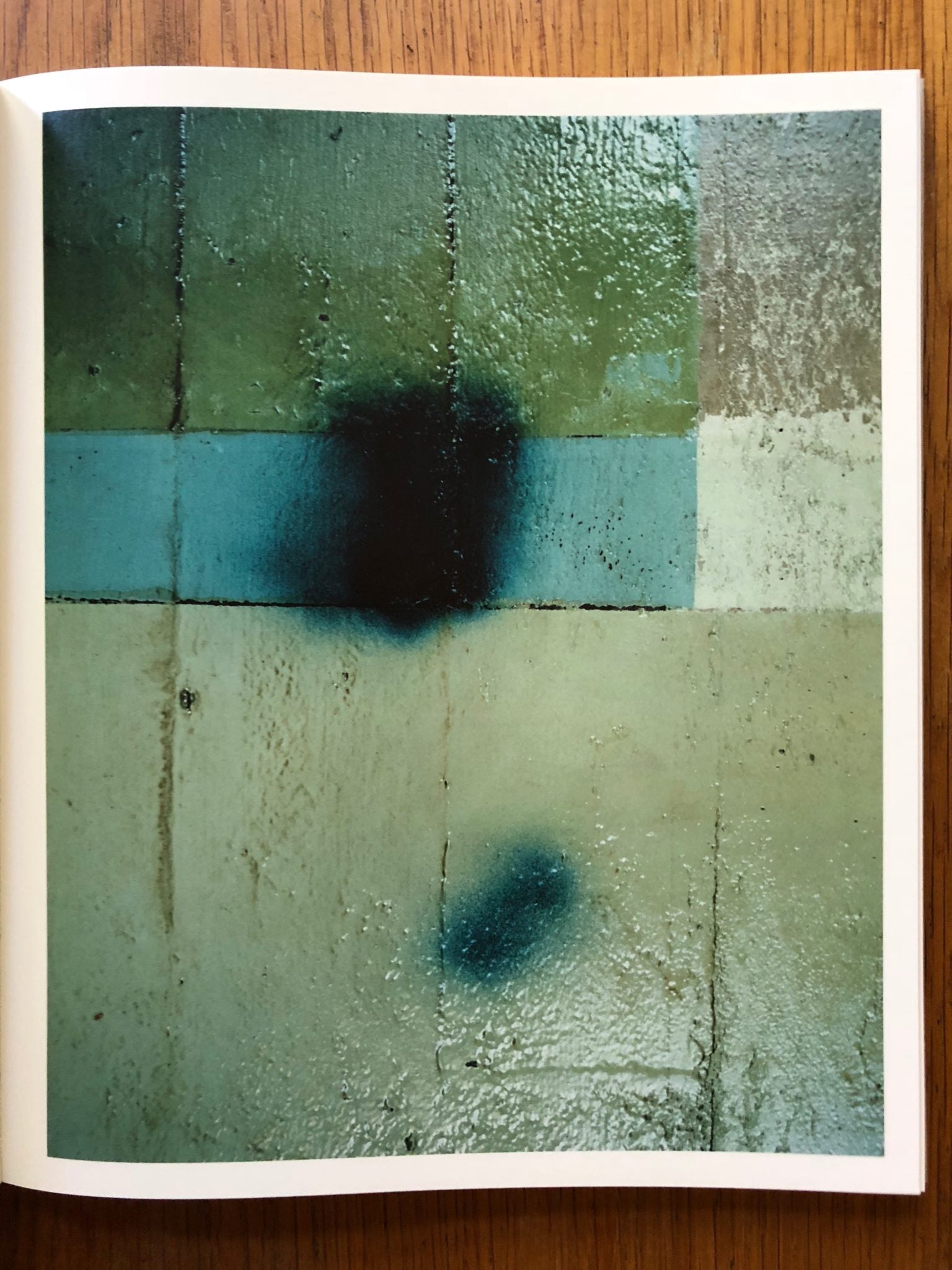 Paintings by Harley Weir | Photography | Setanta Books