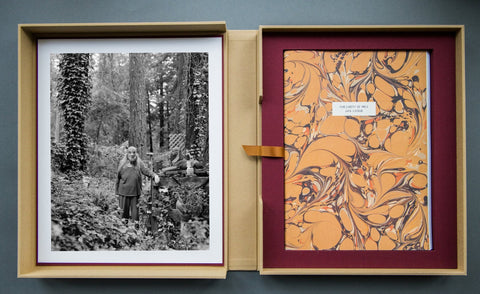 Parliament of Owls Portfolio Box - Setanta Books
