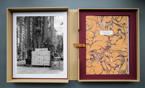 Parliament of Owls Portfolio Box - Setanta Books