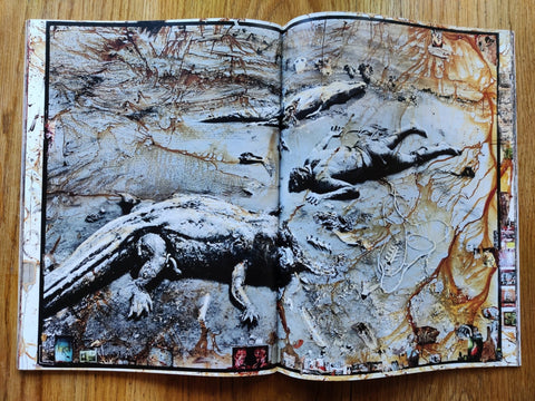 Peter Beard (Spezial Fotografie; Stern Portfolio No. 26) - Setanta Books