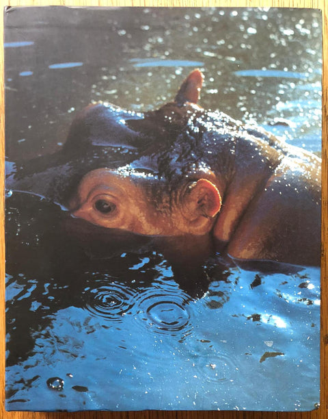 The photography book cover of Sichtbare Welt (Visible World) by Peter Fischli and David Weiss. Paperback with photograph of a hippopotamus under water.
