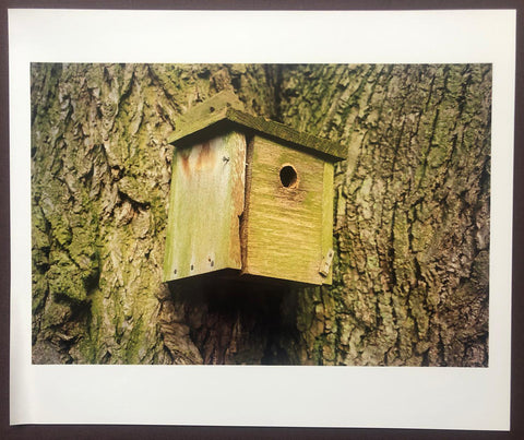 Limited edition print and photography book cover of Peter Fraser by Peter Fraser. Hardback book in brown slipcase. Signed.