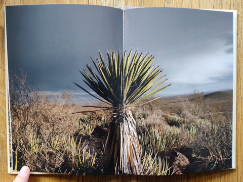 Peyote (One Picture Book) - Setanta Books