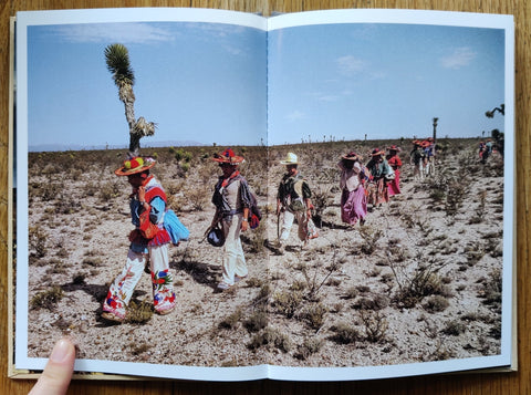 Peyote (One Picture Book) - Setanta Books