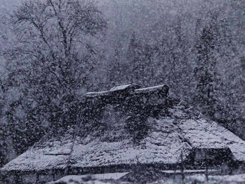 Photographs 1958-2008